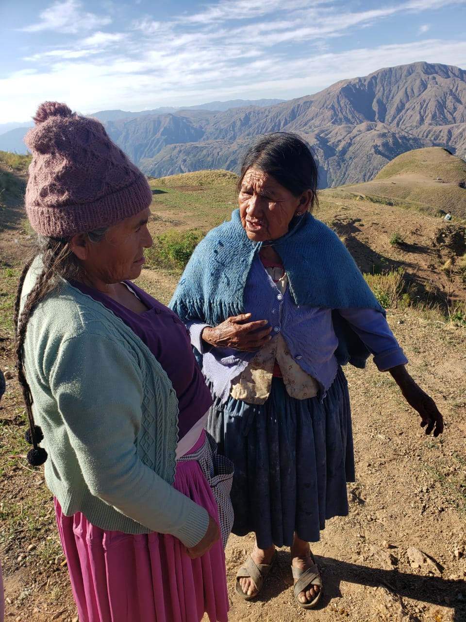 월드 휴먼 브리지