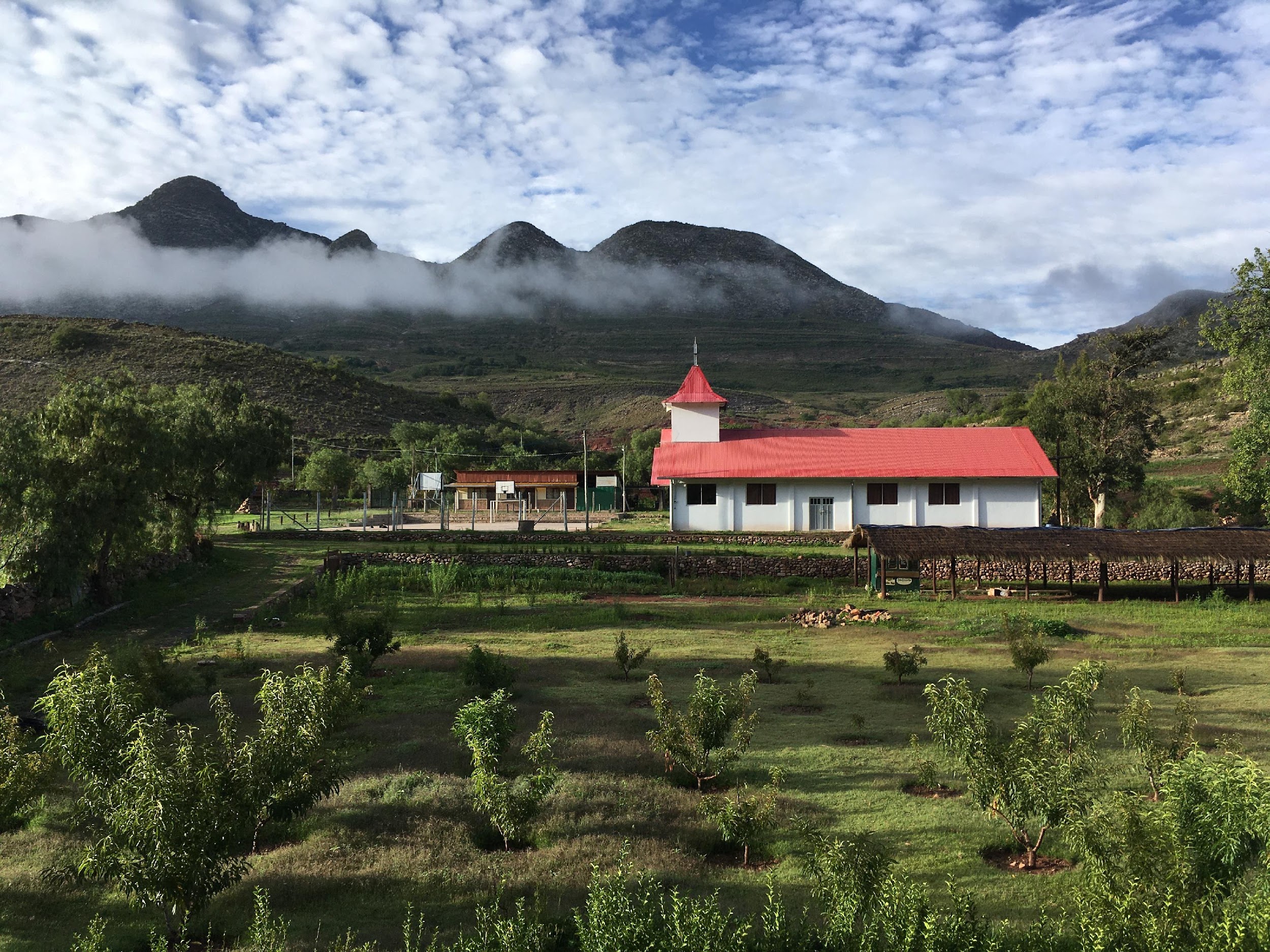 볼리비아 또로또로